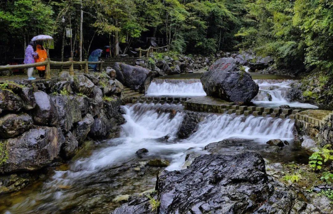 虫虫助手下载