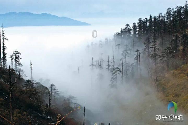 夏季纽扣裙