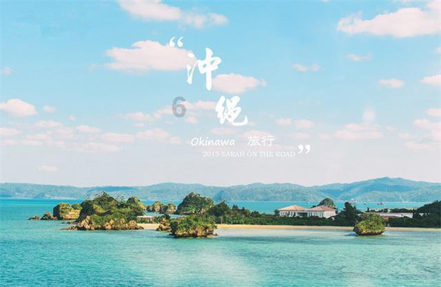 破碎的动物图形2